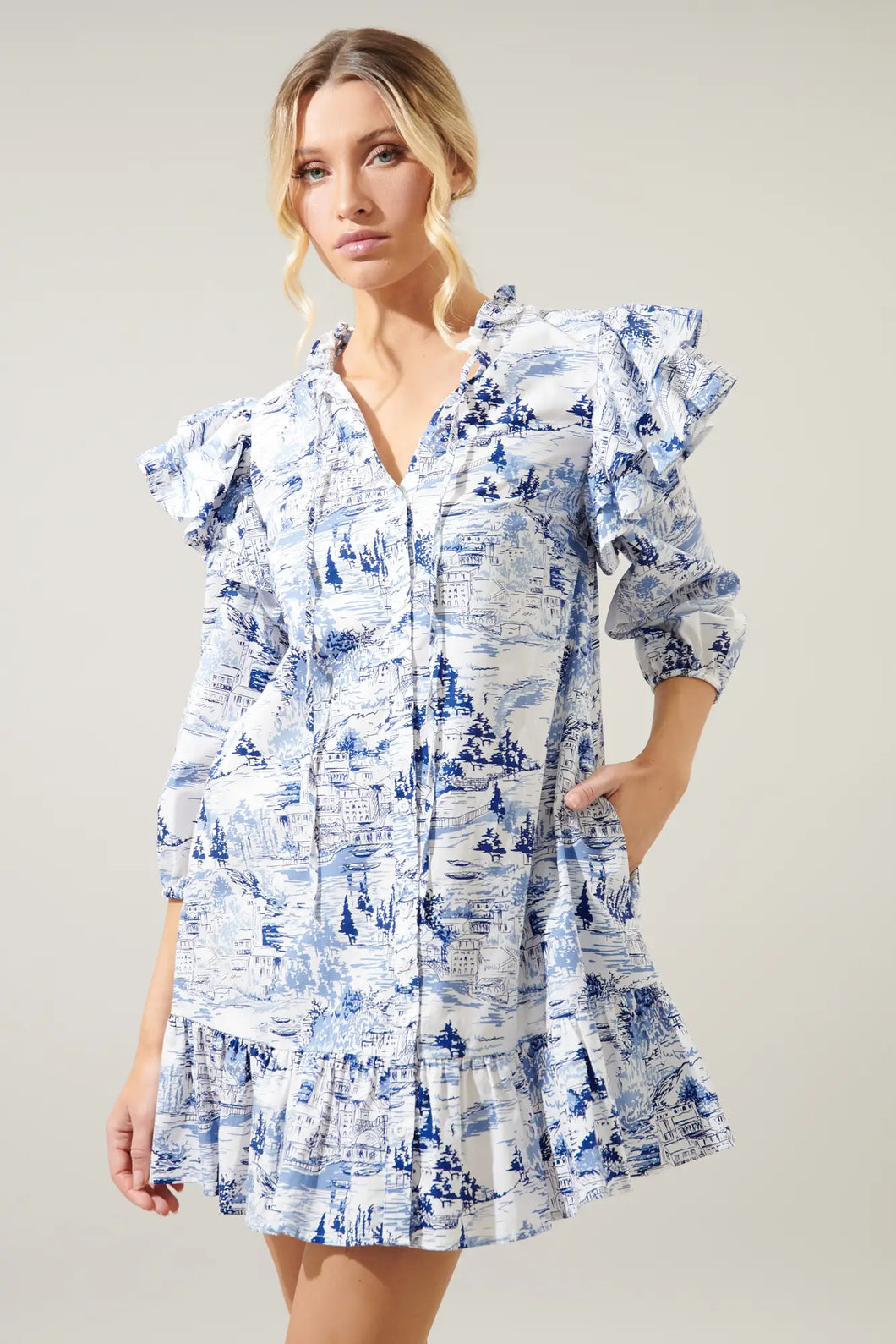 Francine Toile Ruffle Drop Waist Dress